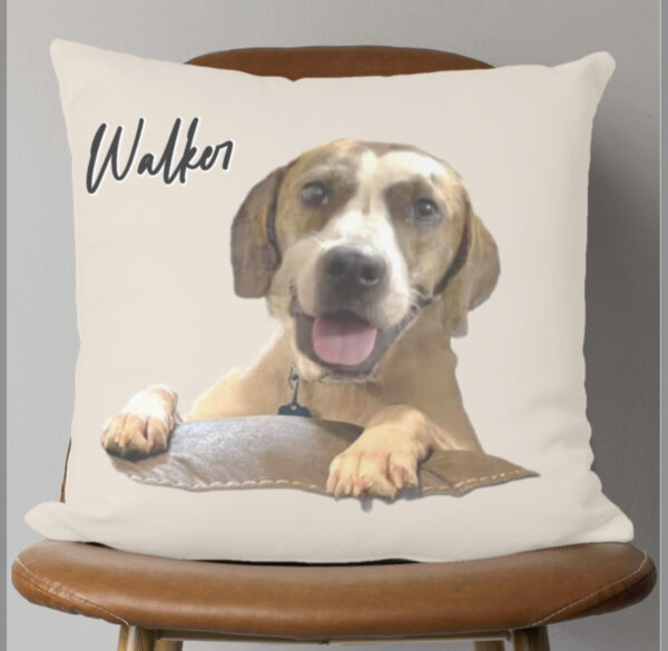 Pillow